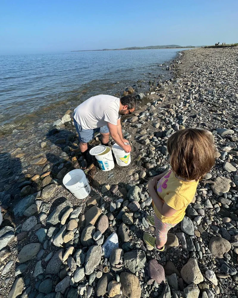 People collecting seawater in buckets on a rocky shoreline