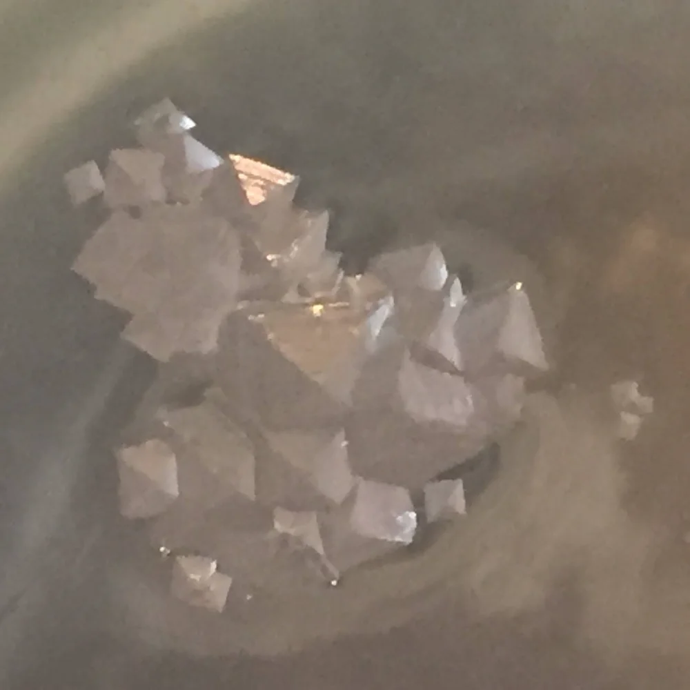 A close view of fleur de sel crystals