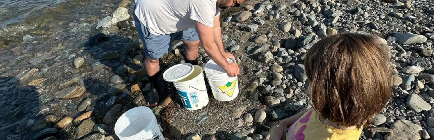 Tidal Salt at work by the shore